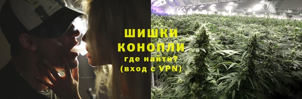ешки Аркадак