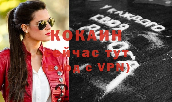 ешки Аркадак