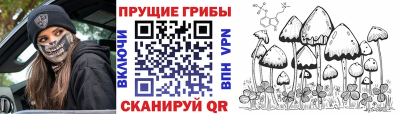 это какой сайт  Снежинск  Псилоцибиновые грибы Magic Shrooms 